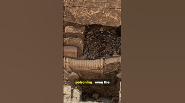 5 Mind-Blowing Facts About Ancient Rome You’ve Never Heard (Part 3) #ancientrome #funfacts #history