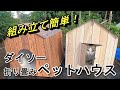 猫が喜ぶ！ ダイソー 折り畳みペットハウス