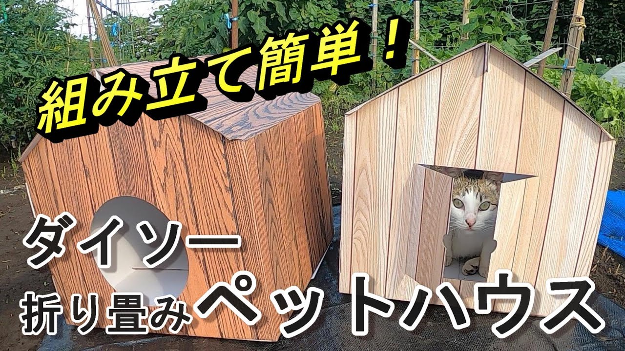 ダイソー 猫 ハウス