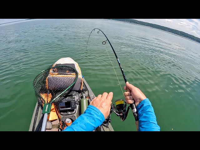 Pelican Catch 110 HyDryve Saltwater Mangrove Creek Kayaking 