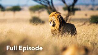 Inside Africa's Deadliest Ecosystem | Wildlife Icons 105