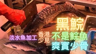 黑鯇魚（青魚）中國四大家魚,但香港好少見,今日揾條10斤試試😍淡水魚拎去加工🤭肉緊實少骨冇泥味😍~fishcutting香港海鮮~社長遊街市Seafood