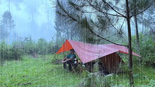 SOLO CAMPING IN HEAVY RAIN  RELAXING CAMPING IN THE RAIN  ASMR