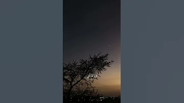 يا ليل قولوا لها انني لا زلت اهواها محمد عبد الرحمن قولوا لها ستوريات تصميم اغاني حالات 