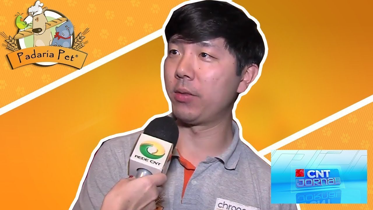 gatos feos Padaria Pet - Jornal CNT - 04/09/2017