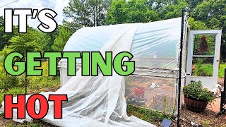 The simple way to keep your garden alive in extreme heat!