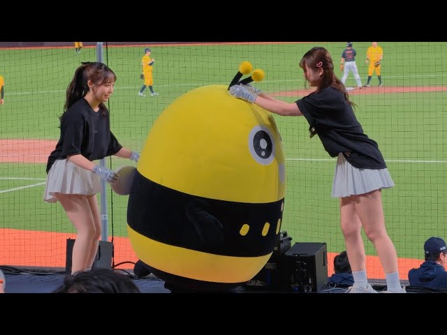 「非．日常」主題日超歡樂！包子＆千紘跟著蜜蜂玩起趣味互動 #包子 #千紘 #統一獅啦啦隊 #啦啦隊直拍 #攻其不備 #unigirls #傑尼斯主題日 260823