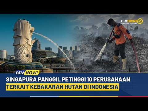 Singapura Panggil Petinggi 10 Perusahaan Terkait Kebakaran Hutan di Indonesia | NTV NOW!