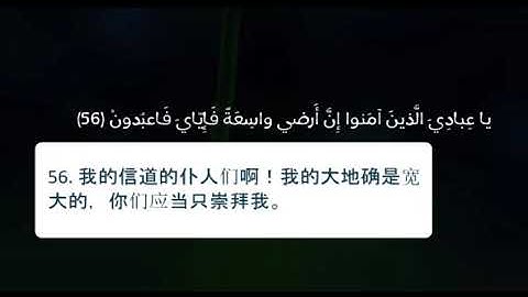 سورة العنكبوت[٥٦ - ٦٠] 《古兰经》蜘蛛章