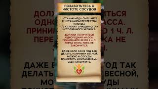 Позаботься о сосудах🩸
