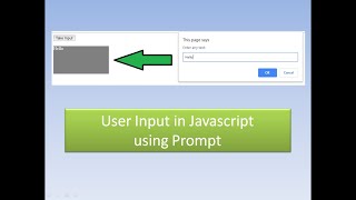 User Input using Javascript prompt Net Worth
