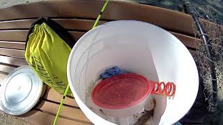 Bass fishing in Hellyer Park San Jose CA