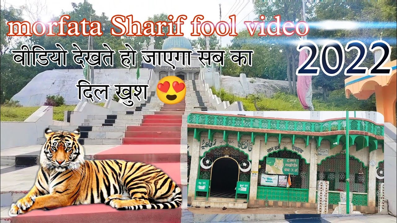 #morfata #video baba peer sakhi sarkar || #ziyarat  #shorts @AbdulHabibAjmeri