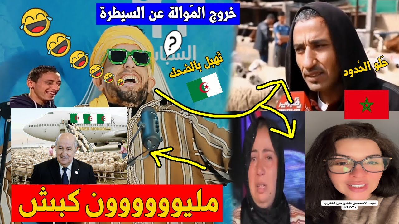 أرواح تشبع ضحك في هذا الفيديو أغرب تصريحات المراركة🇲🇦 بعد قَرار استيراد خرفان العيد للجزائر🇩🇿 ههه😂😂!