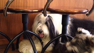 My Movie（SEP 13, 2013 13:29 - 13:39）