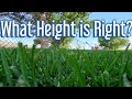 How Tall Should You Cut The Grass?