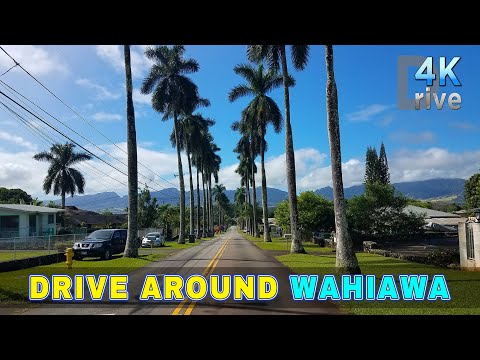 Fun Things to Do in Wahiawa | Travel Guide (2024) | Best Places to Visit