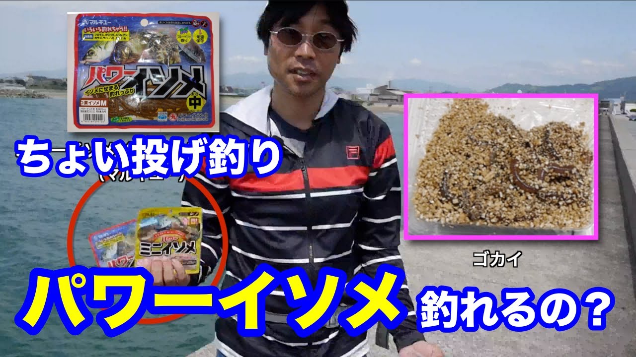 ちょい投げ釣りでパワーイソメと虫エサを釣り比べ 魚が次々ヒットします Youtube