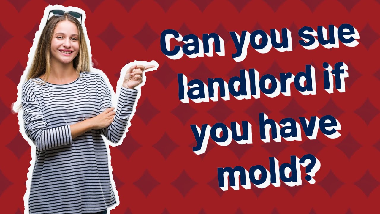 Can you sue landlord if you have mold? YouTube