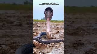 Gooa che dil lga dalo laif .. ..🙏