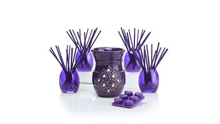 JOY 92pc Set Forever Fragrant Warmer and Vases