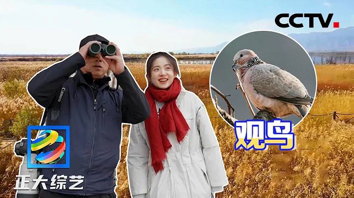 打卡京郊觀鳥好去處——野鴨湖公園 「吃貨」麋鹿如何解決了濕地的大問題？| CCTV「正大綜藝」 - 天天要聞