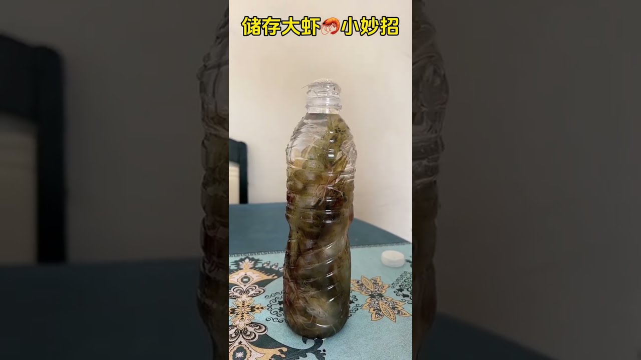 3xcf4p7unvsq8wk Mp4