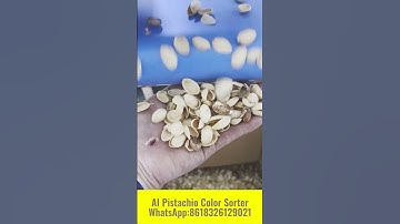 AI Pistachio Color Sorter#pistachio #nutssort #nutssorter #nutshell #colorsorter WA:8618326129021