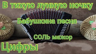 В тихую лунную ночку на гармони. Бабушкина песня. (Цифры в описании) В тихую лунную ночку цифры.