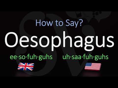 How to Pronounce Oesophagus? (CORRECTLY) Meaning & Pronunciation