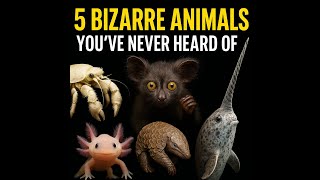 5 Bizarre Animals You’ve NeverHeard Of#BizarreAnimals #WildSecrets #AmazingAnimals #Axolotl #Narwhal