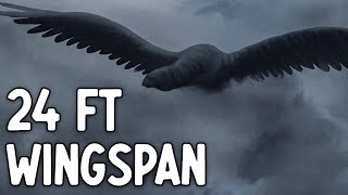 Earth's Largest Bird to Ever Fly