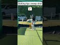 SWEEP SHOT: Wrong ❌ vs. Right ✅ | Master This Cricket Shot!.