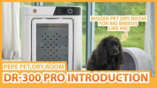 DR-300 PRO Introduction | PEPE Pet Dry Room