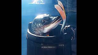 He Caught a Fish That Claimed to Be a Sea Princess! #movie #film