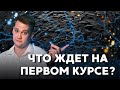 Что ждет тебя на ПЕРВОМ КУРСЕ? Как подготовиться, чтобы не ЧИСЛАНУЛИ?