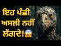 10 Birds That Look Unreal 😱 | ਇਹ ਪੰਛੀ ਅਸਲੀ ਨਹੀਂ ਲੱਗਦੇ! 😨 | Shocking & Rare Birds Explained