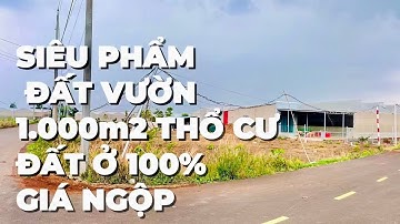 Bán đất vườn 1.491m2 có sẵn 1.000m2 thổ cư tuyệt ở bà rịa vũng tàu
