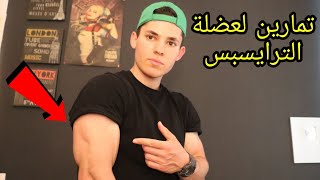 أقوى تمارين الترايسبس ونحتها بطرق مختلفة كمال الاجسام | Triceps Workout