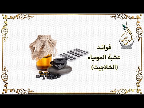 الموميا تعالج هرمون الذكورة والسرطانات عشبة المومياء الشلاجيت
