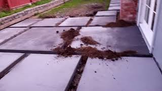 Veterans concrete,...custom flat work /  15%  cure