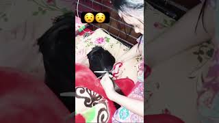 Sleeping haircut #pixiecut #yt #beauty #ponytailhairstyles