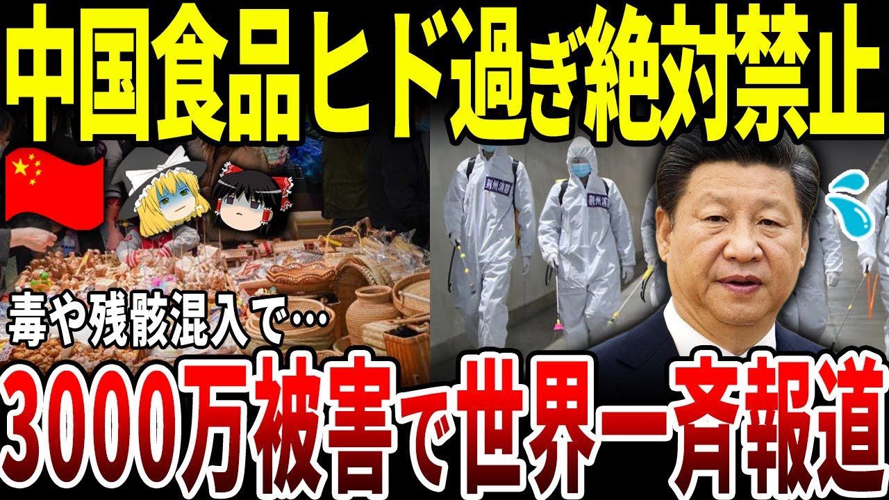 猫のひたいほどワイド #1088 リポート大賞・石川悠人「今年も猫