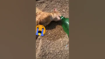 يا الله يا رحمان يا رحيم يا كريم 