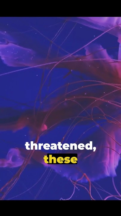 How do Eels produce Electricity? - YouTube