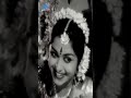 Paasam Tamil Movie Songs | Pal Vannam Paruvam Vertical Video Song | MGR | Saroja Devi Mp3 Song