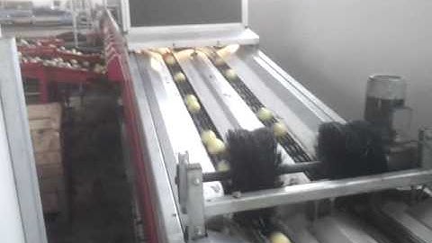 FAST APPLE GRADER  2