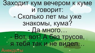 Кум и кума без трусов… Подборка смешных жизненных анекдотов Лучшие короткие анекдоты