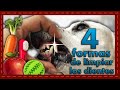 Tip: 4 formas de limpiar los dientes a tu perro