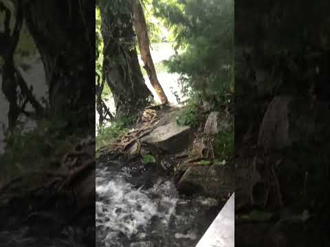 #waterfall n #nature #naturesounds